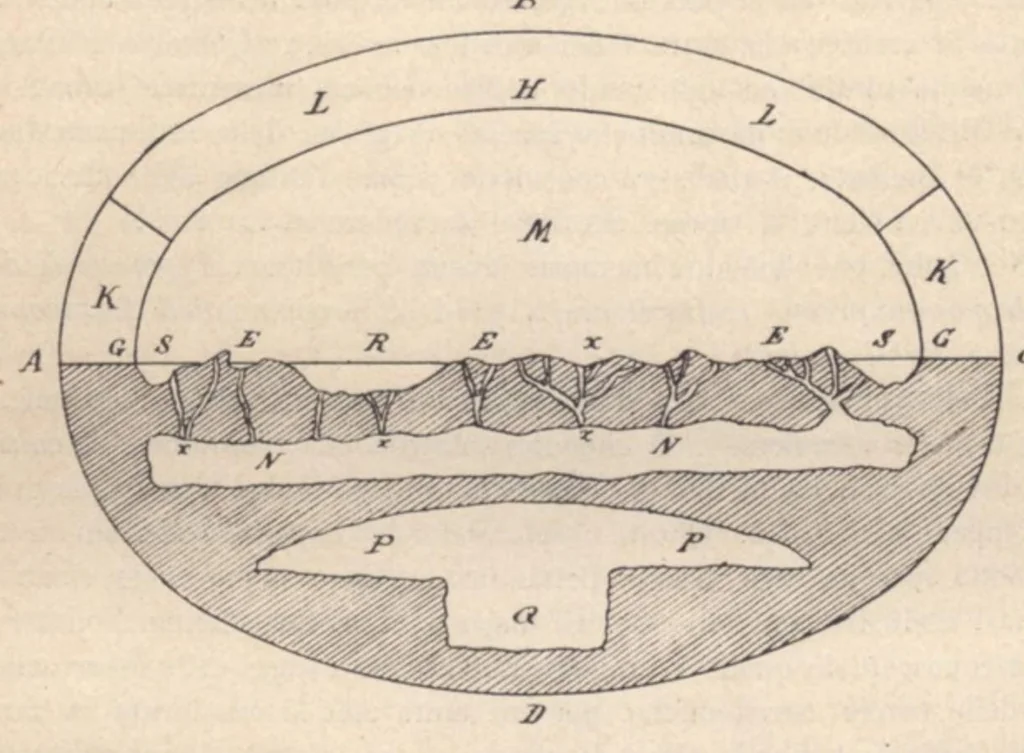 An illustration from Rivista di astronomia e scienze affini, 1912, a. 6, n. 01 (January), 1912, leaf 27