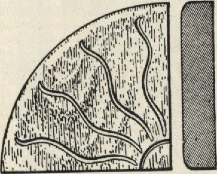 An illustration from Sash, doors, blinds, mouldings, and all kinds of millwork, 1904, leaf 144