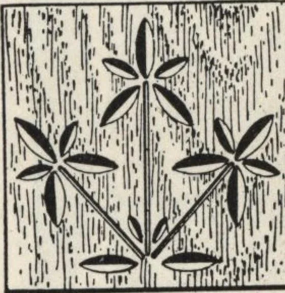 An illustration from Sash, doors, blinds, mouldings, and all kinds of millwork, 1904, leaf 144