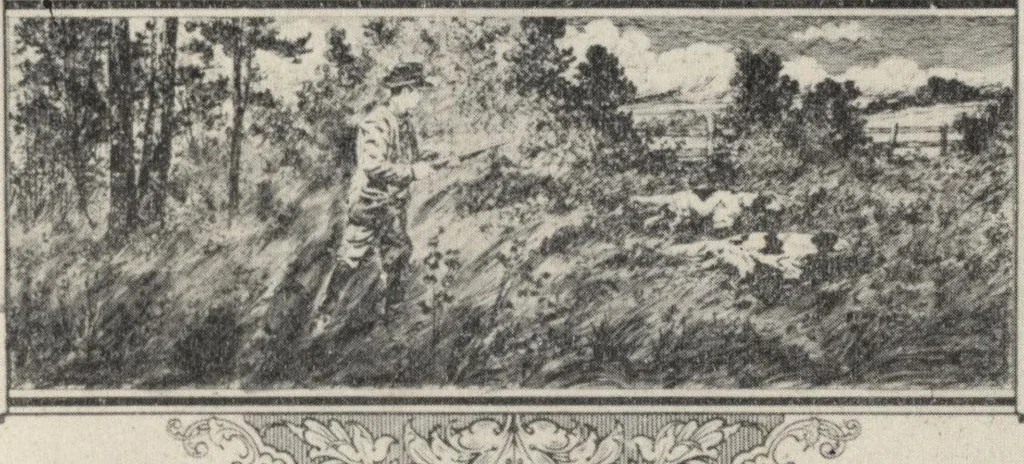 An illustration from Sash, doors, blinds, mouldings, and all kinds of millwork, 1904, leaf 334