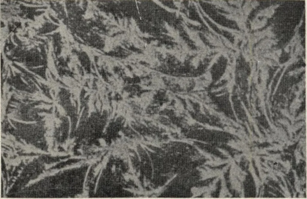 An illustration from Sash, doors, blinds, mouldings, and all kinds of millwork, 1904, leaf 341