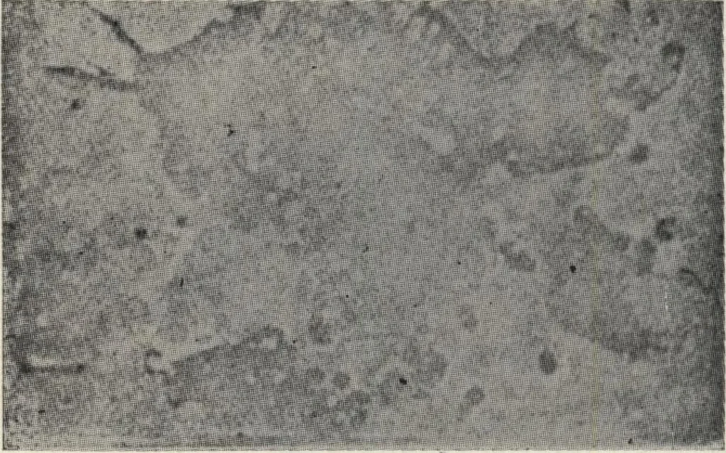 An illustration from Sash, doors, blinds, mouldings, and all kinds of millwork, 1904, leaf 341