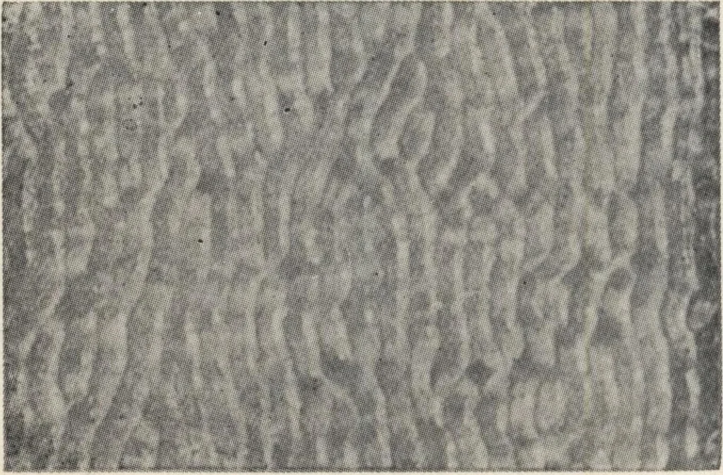 An illustration from Sash, doors, blinds, mouldings, and all kinds of millwork, 1904, leaf 341