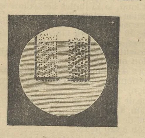 An illustration from No. 38 - Projections Molteni - Éditions des Diapositives pour Conférences Scientifiques et Mondaines: Catalogue Général des vues scientifiques & littéraries classées suivant un ordre méthodique et rat. 2e Fascicule Physique & Chimie, 1907, leaf 41