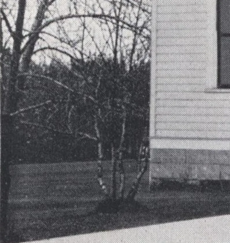 An illustration from Bennett better-built, ready-cut homes, catalog no. 21, 1922, leaf 65