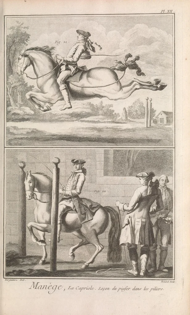 An illustration from Recueil de planches, sur les sciences, les arts libéraux, et les arts méchaniques : avec leur explication .., 1762, leaf 107