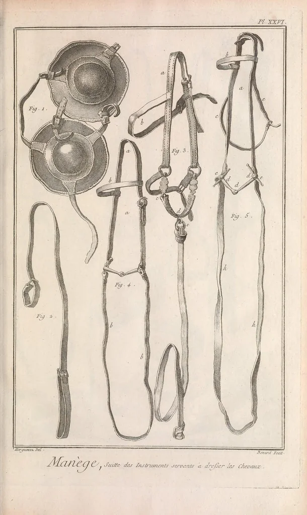 An illustration from Recueil de planches, sur les sciences, les arts libéraux, et les arts méchaniques : avec leur explication .., 1762, leaf 135