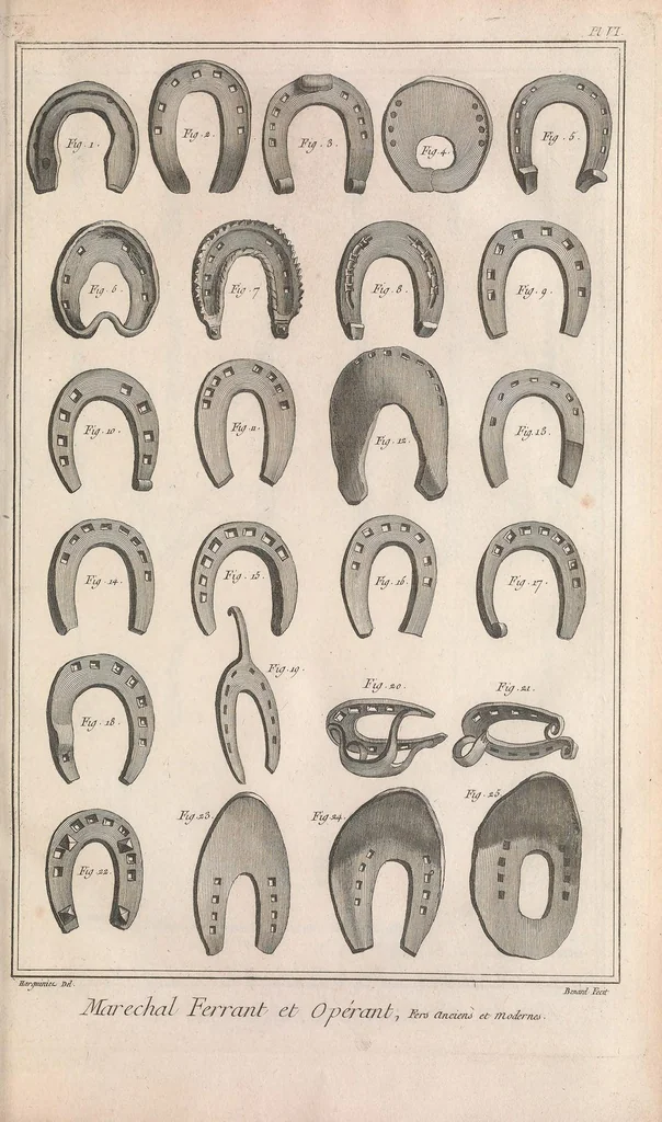 An illustration from Recueil de planches, sur les sciences, les arts libéraux, et les arts méchaniques : avec leur explication .., 1762, leaf 165