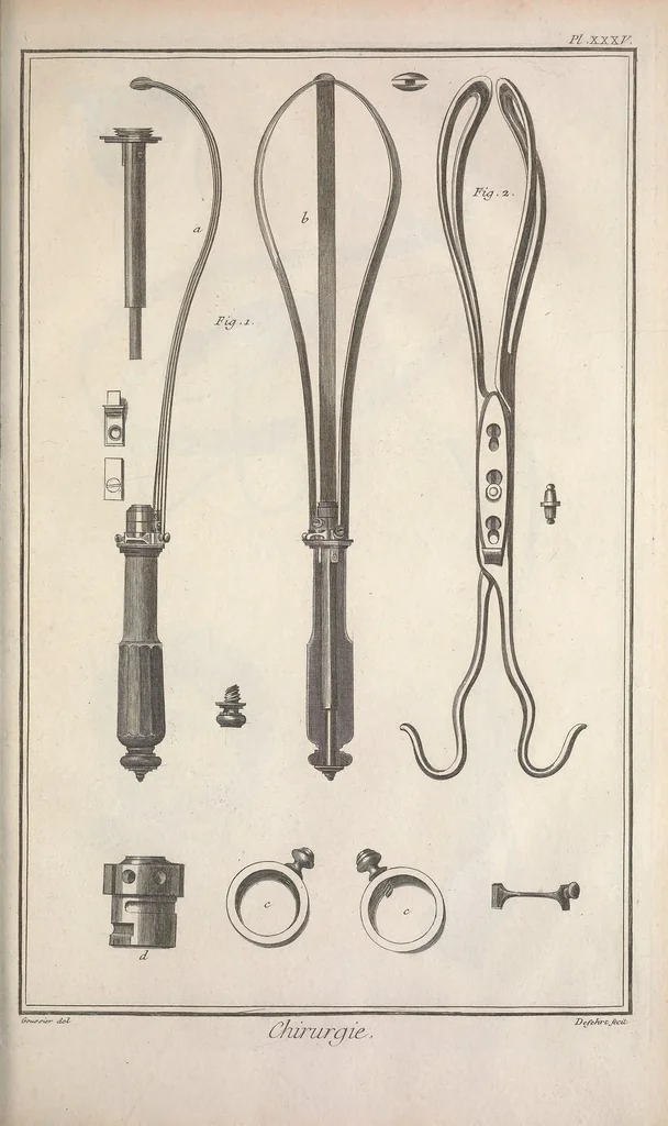 An illustration from Recueil de planches, sur les sciences, les arts libéraux, et les arts méchaniques : avec leur explication .., 1762, leaf 249