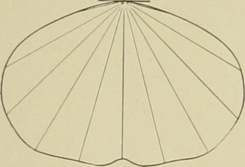 An illustration from Reflectors and fixtures for industrial lighting., 1912, leaf 4