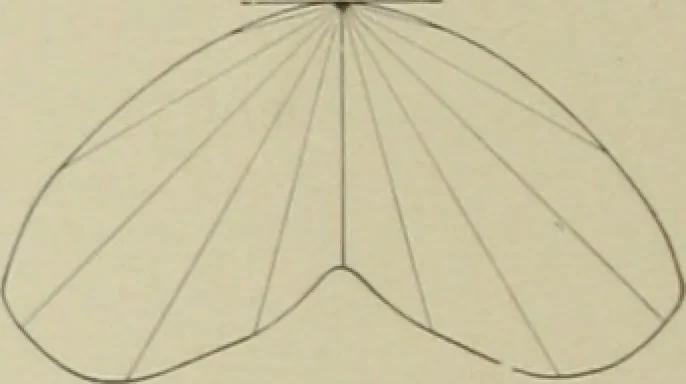 An illustration from Reflectors and fixtures for industrial lighting., 1912, leaf 7