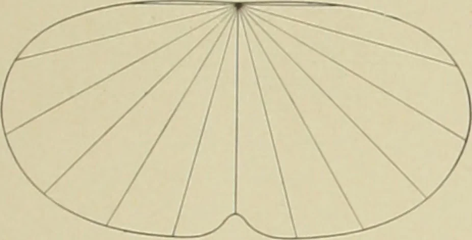 An illustration from Reflectors and fixtures for industrial lighting., 1912, leaf 8