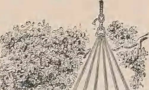 An illustration from Review of spring and summer goods, 1911, 1911, leaf 12