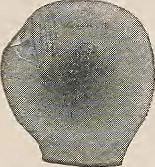 An illustration from Review of spring and summer goods, 1911, 1911, leaf 17