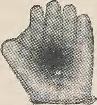 An illustration from Review of spring and summer goods, 1911, 1911, leaf 17