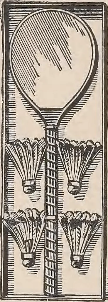 An illustration from Review of spring and summer goods, 1911, 1911, leaf 19