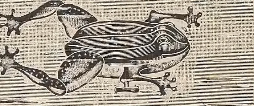 An illustration from Review of spring and summer goods, 1911, 1911, leaf 23