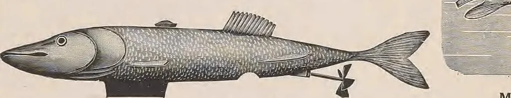 An illustration from Review of spring and summer goods, 1911, 1911, leaf 23