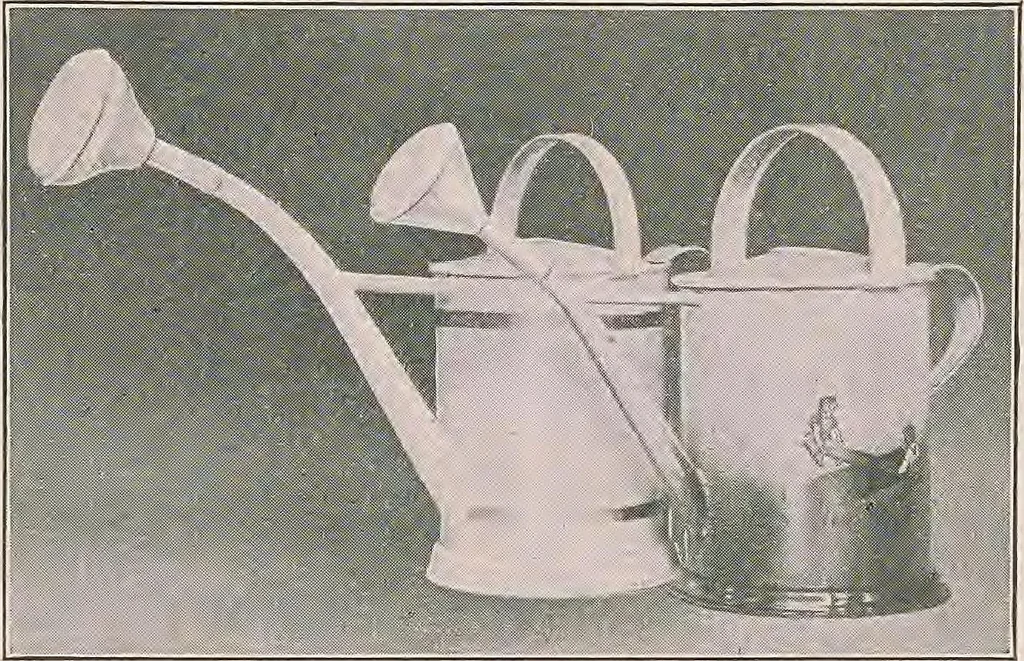 An illustration from Review of spring and summer goods, 1911, 1911, leaf 24