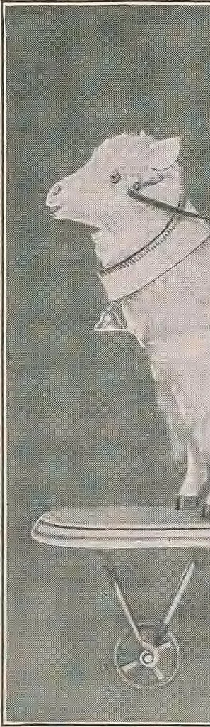 An illustration from Review of spring and summer goods, 1911, 1911, leaf 39