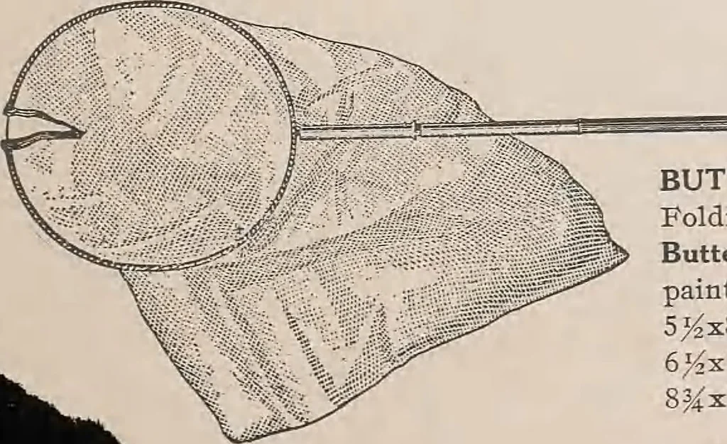 An illustration from Review of spring and summer goods, 1911, 1911, leaf 43