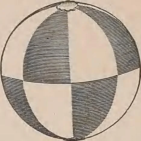 An illustration from Review of spring and summer goods, 1911, 1911, leaf 44