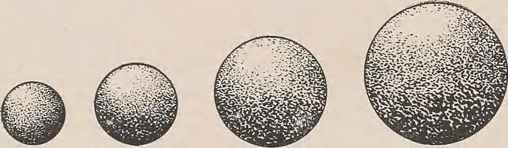An illustration from Review of spring and summer goods, 1911, 1911, leaf 44