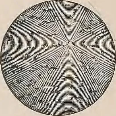 An illustration from Review of spring and summer goods, 1911, 1911, leaf 44