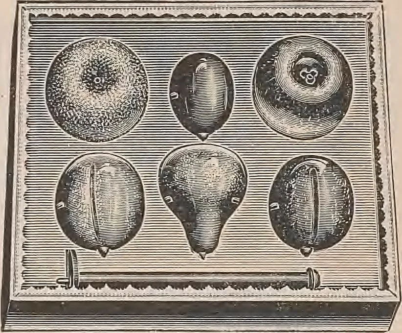 An illustration from Review of spring and summer goods, 1911, 1911, leaf 45