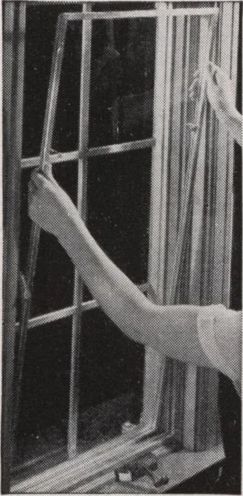 An illustration from Roberts price pilot, 1920, leaf 69