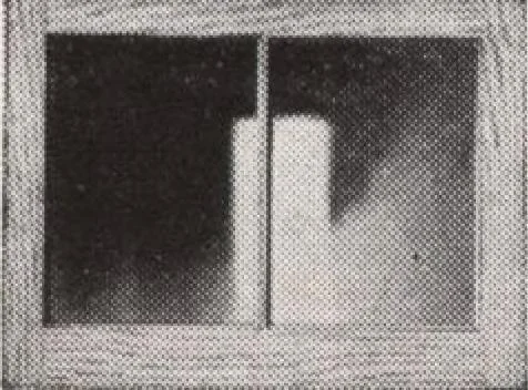 An illustration from Roberts price pilot, 1920, leaf 8