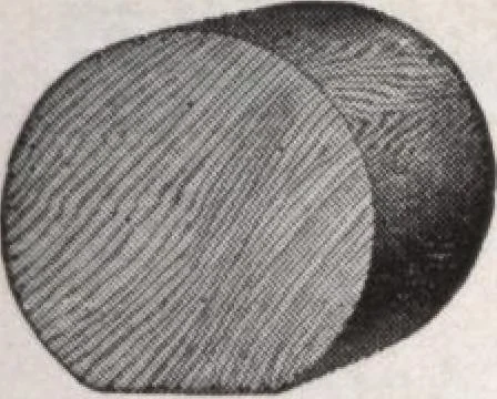 An illustration from Roberts price pilot, 1920, leaf 87