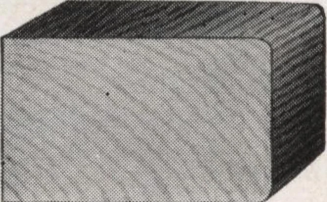 An illustration from Roberts price pilot, 1920, leaf 88