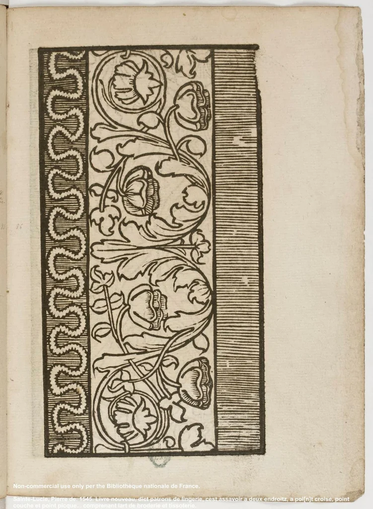 An illustration from Livre nouveau, dict patrons de lingerie, cest assavoir a deux endroitz, a poi[n]t croise, point couche et point picque... comprenant lart de broderie et tissoterie, 1545, leaf 42