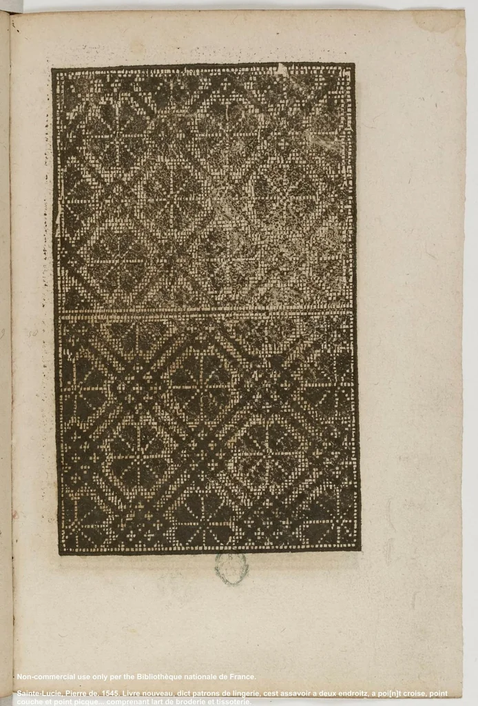 An illustration from Livre nouveau, dict patrons de lingerie, cest assavoir a deux endroitz, a poi[n]t croise, point couche et point picque... comprenant lart de broderie et tissoterie, 1545, leaf 6