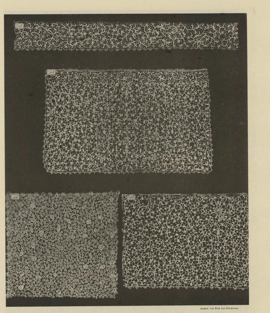 An illustration from Ornamentale und Kunstgewerbliche Sammelmappe : Spitzen des 16. bis 19. Jahrhunderts aus den Sammlungen des Kunstgewerbe-Museums zu Leipzig; Serie IV, 1894, leaf 10