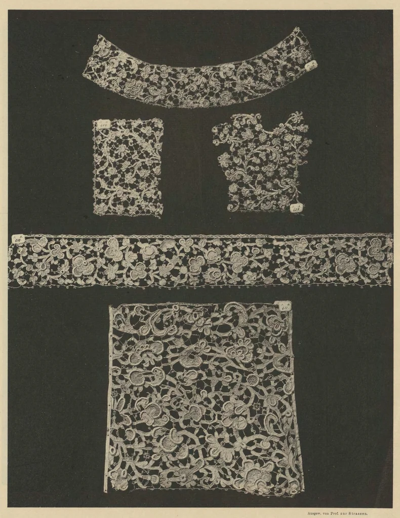 An illustration from Ornamentale und Kunstgewerbliche Sammelmappe : Spitzen des 16. bis 19. Jahrhunderts aus den Sammlungen des Kunstgewerbe-Museums zu Leipzig; Serie IV, 1894, leaf 6