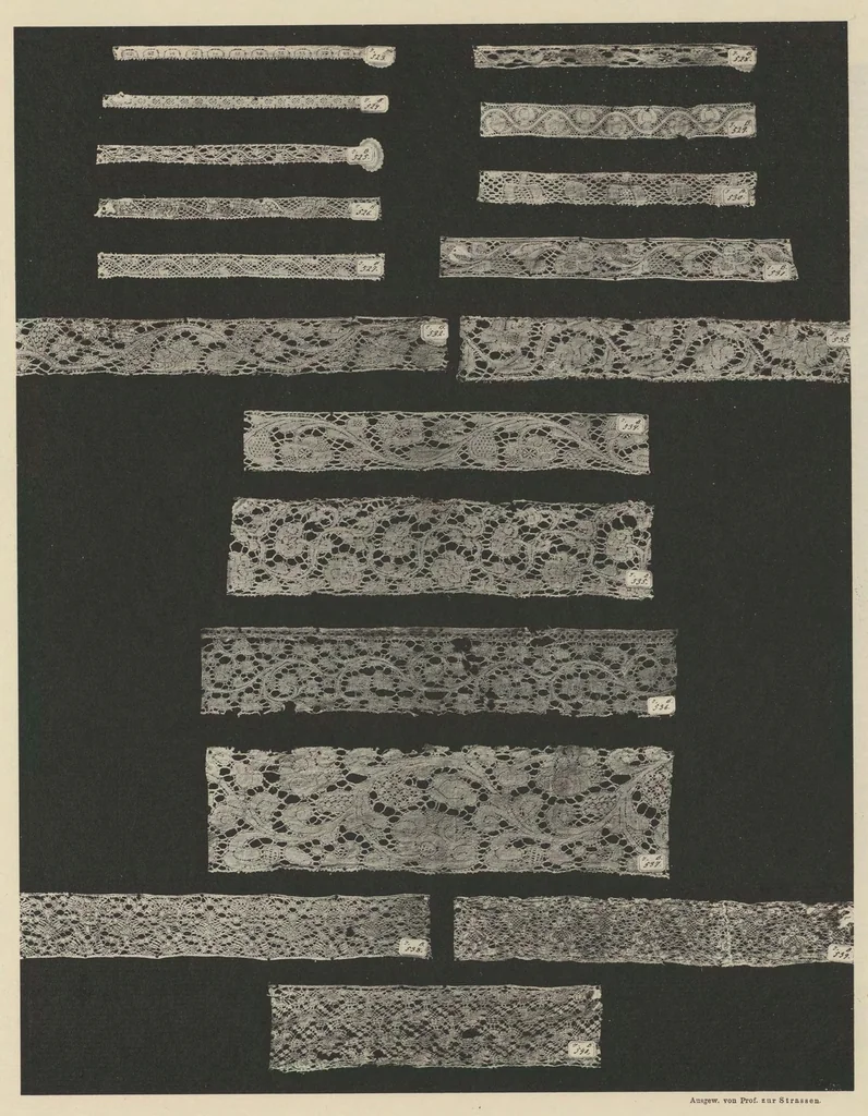 An illustration from Ornamentale und Kunstgewerbliche Sammelmappe : Spitzen des 16. bis 19. Jahrhunderts aus den Sammlungen des Kunstgewerbe-Museums zu Leipzig; Serie V, 1894, leaf 22