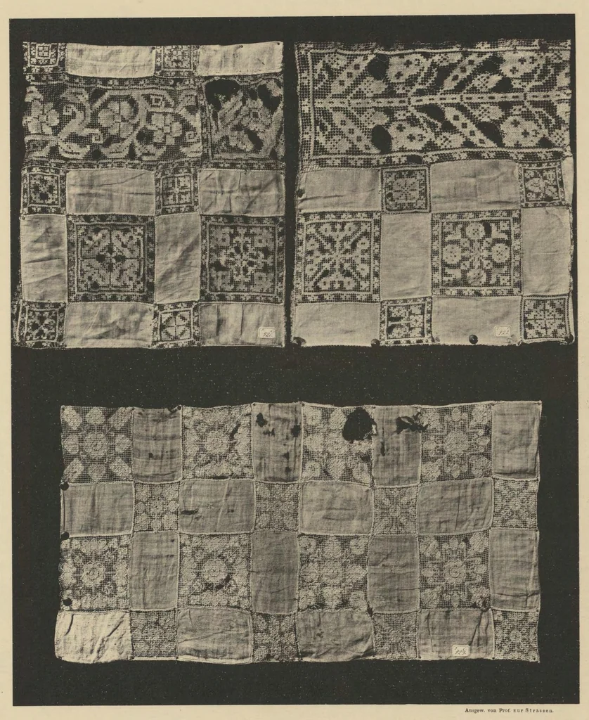An illustration from Ornamentale und Kunstgewerbliche Sammelmappe : Spitzen des 16. bis 19. Jahrhunderts aus den Sammlungen des Kunstgewerbe-Museums zu Leipzig; Serie V, 1894, leaf 54