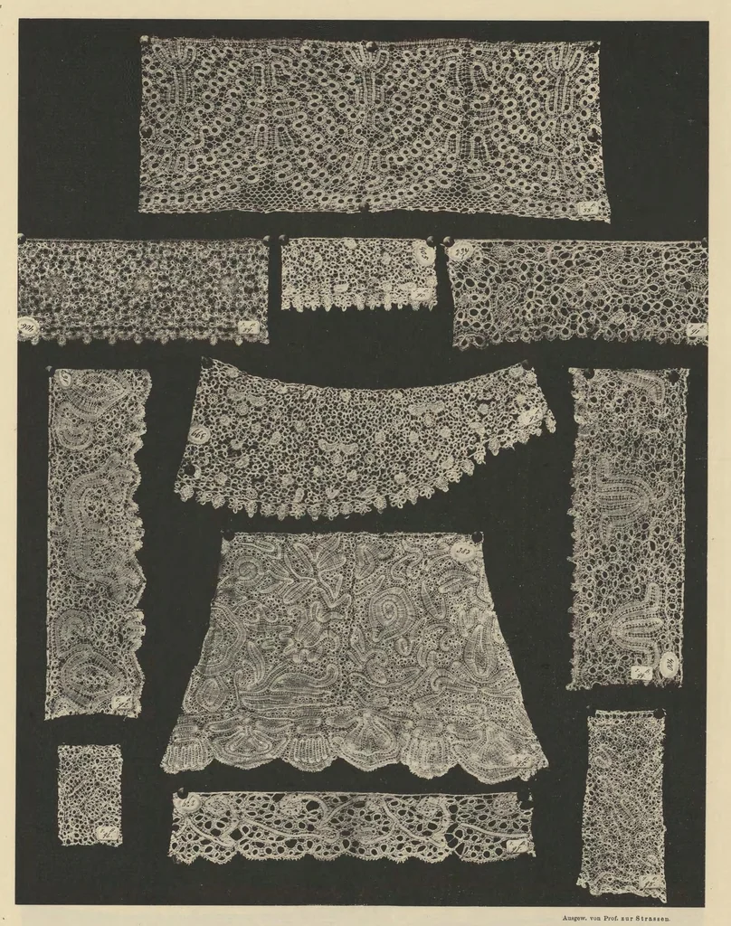 An illustration from Ornamentale und Kunstgewerbliche Sammelmappe : Spitzen des 16. bis 19. Jahrhunderts aus den Sammlungen des Kunstgewerbe-Museums zu Leipzig; Serie V, 1894, leaf 8