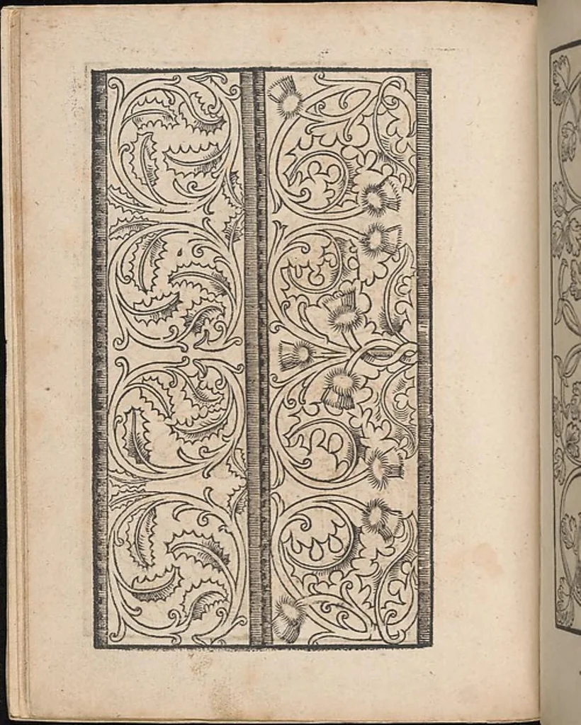 An illustration from Ein new modelbuch auff aussnehen und borten wircken yn der laden und langen gestell gemert und gebessert mitt new andern modeln, 1524, leaf 11
