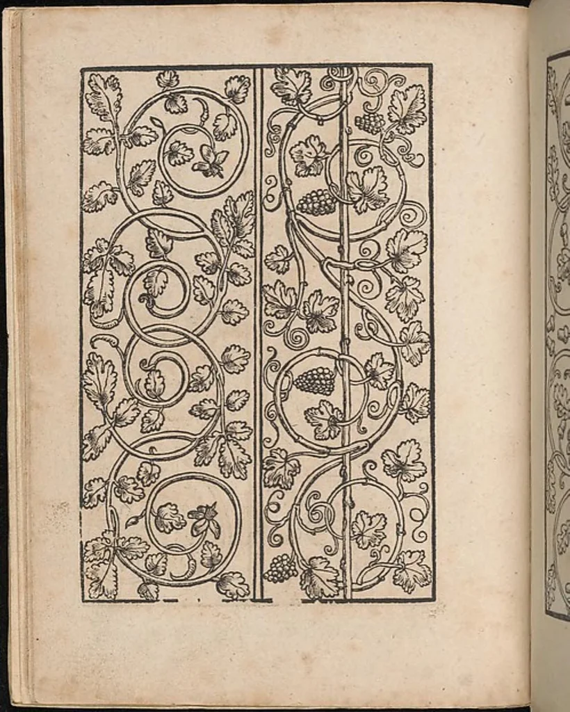 An illustration from Ein new modelbuch auff aussnehen und borten wircken yn der laden und langen gestell gemert und gebessert mitt new andern modeln, 1524, leaf 13