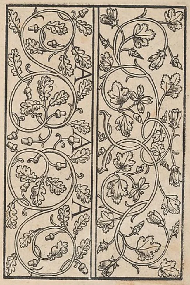 An illustration from Ein new modelbuch auff aussnehen und borten wircken yn der laden und langen gestell gemert und gebessert mitt new andern modeln, 1524, leaf 14