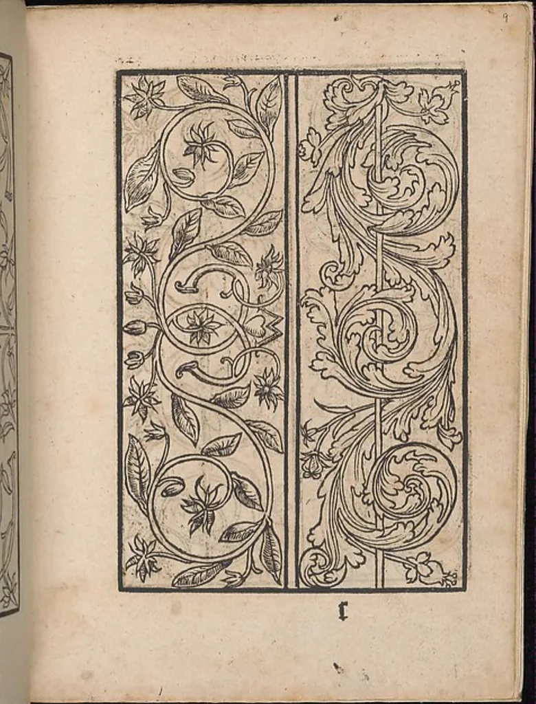 An illustration from Ein new modelbuch auff aussnehen und borten wircken yn der laden und langen gestell gemert und gebessert mitt new andern modeln, 1524, leaf 16