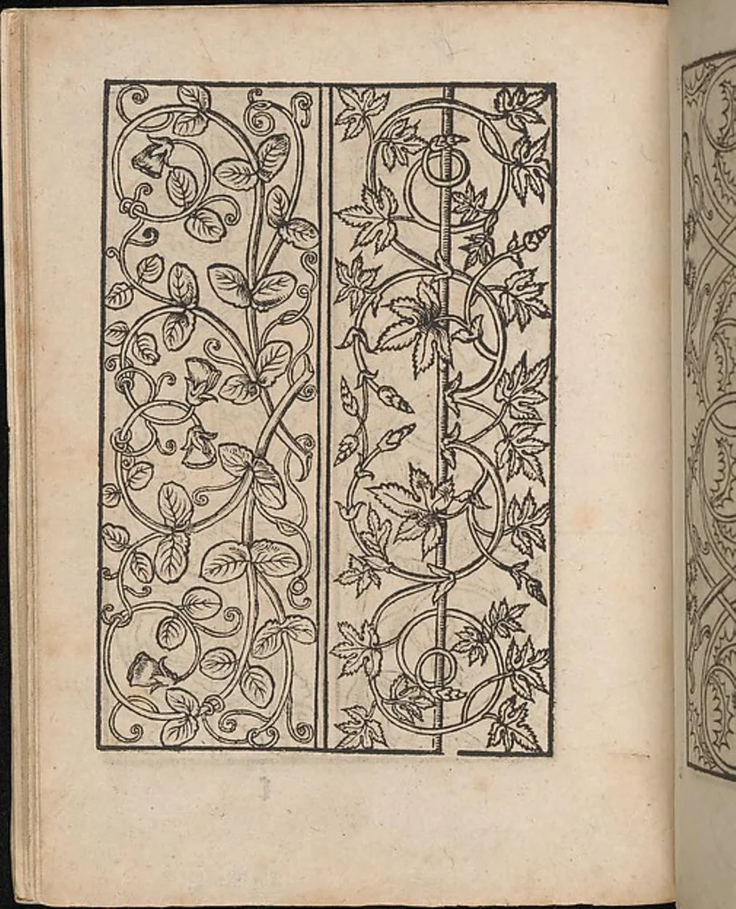 An illustration from Ein new modelbuch auff aussnehen und borten wircken yn der laden und langen gestell gemert und gebessert mitt new andern modeln, 1524, leaf 17
