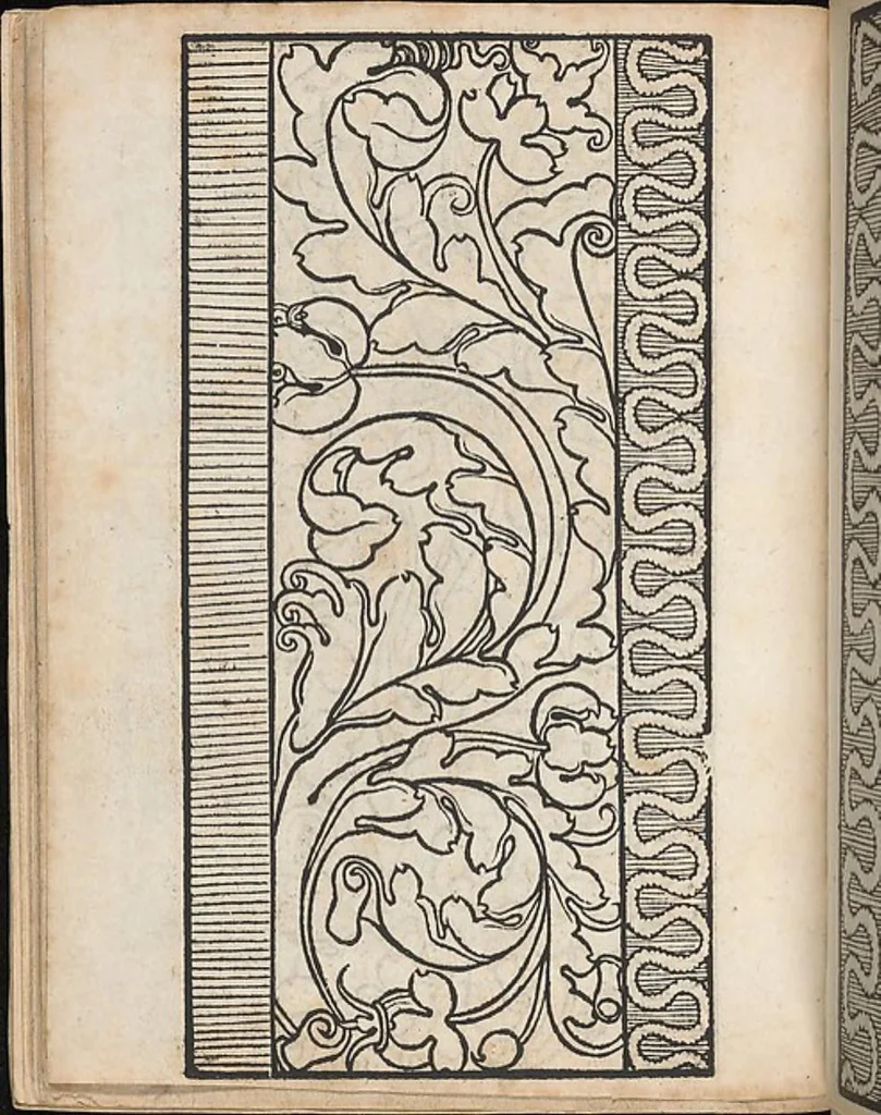 An illustration from Ein new modelbuch auff aussnehen und borten wircken yn der laden und langen gestell gemert und gebessert mitt new andern modeln, 1524, leaf 25