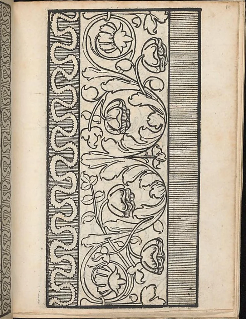 An illustration from Ein new modelbuch auff aussnehen und borten wircken yn der laden und langen gestell gemert und gebessert mitt new andern modeln, 1524, leaf 26