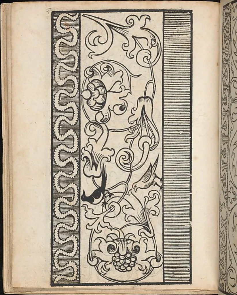 An illustration from Ein new modelbuch auff aussnehen und borten wircken yn der laden und langen gestell gemert und gebessert mitt new andern modeln, 1524, leaf 29