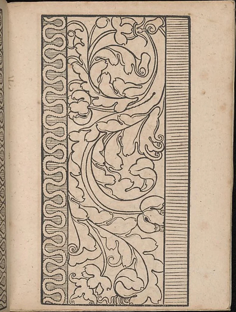 An illustration from Ein new modelbuch auff aussnehen und borten wircken yn der laden und langen gestell gemert und gebessert mitt new andern modeln, 1524, leaf 4