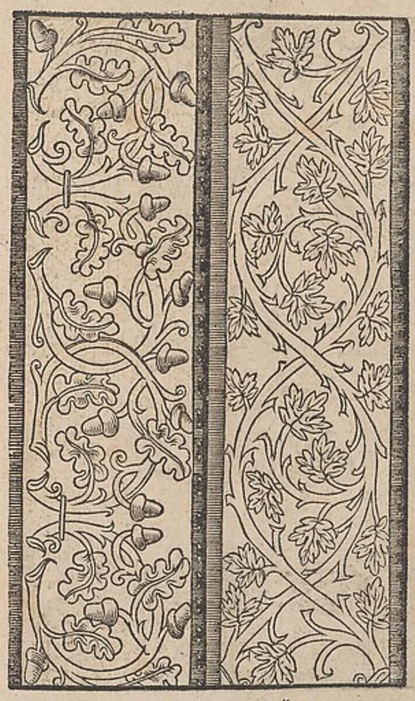 An illustration from Ein new modelbuch auff aussnehen und borten wircken yn der laden und langen gestell gemert und gebessert mitt new andern modeln, 1524, leaf 8